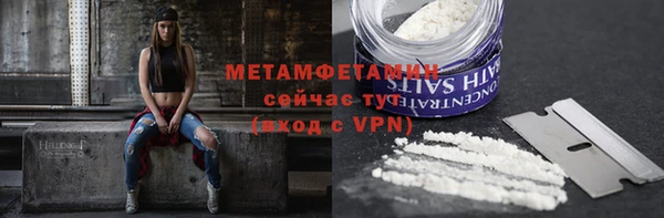 ПСИЛОЦИБИНОВЫЕ ГРИБЫ Богданович