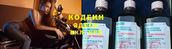 ПСИЛОЦИБИНОВЫЕ ГРИБЫ Богданович