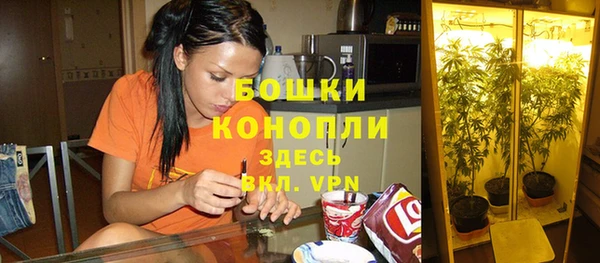 MESCALINE Богородицк