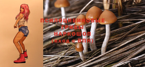 ПСИЛОЦИБИНОВЫЕ ГРИБЫ Богданович