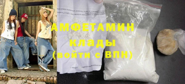ПСИЛОЦИБИНОВЫЕ ГРИБЫ Богданович