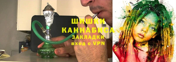 ПСИЛОЦИБИНОВЫЕ ГРИБЫ Богданович