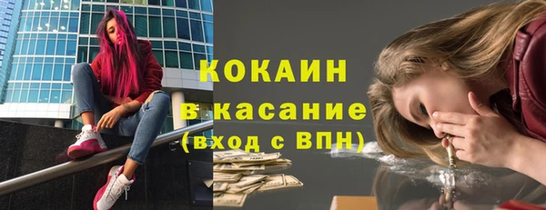 ПСИЛОЦИБИНОВЫЕ ГРИБЫ Богданович