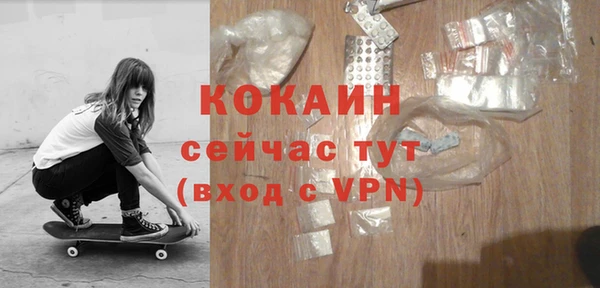 ПСИЛОЦИБИНОВЫЕ ГРИБЫ Богданович