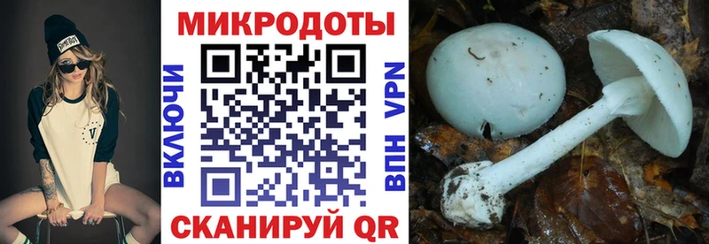 мега ONION  наркота  Дмитров  Псилоцибиновые грибы MAGIC MUSHROOMS 